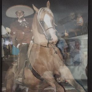 Meet your Posher, Rogelio